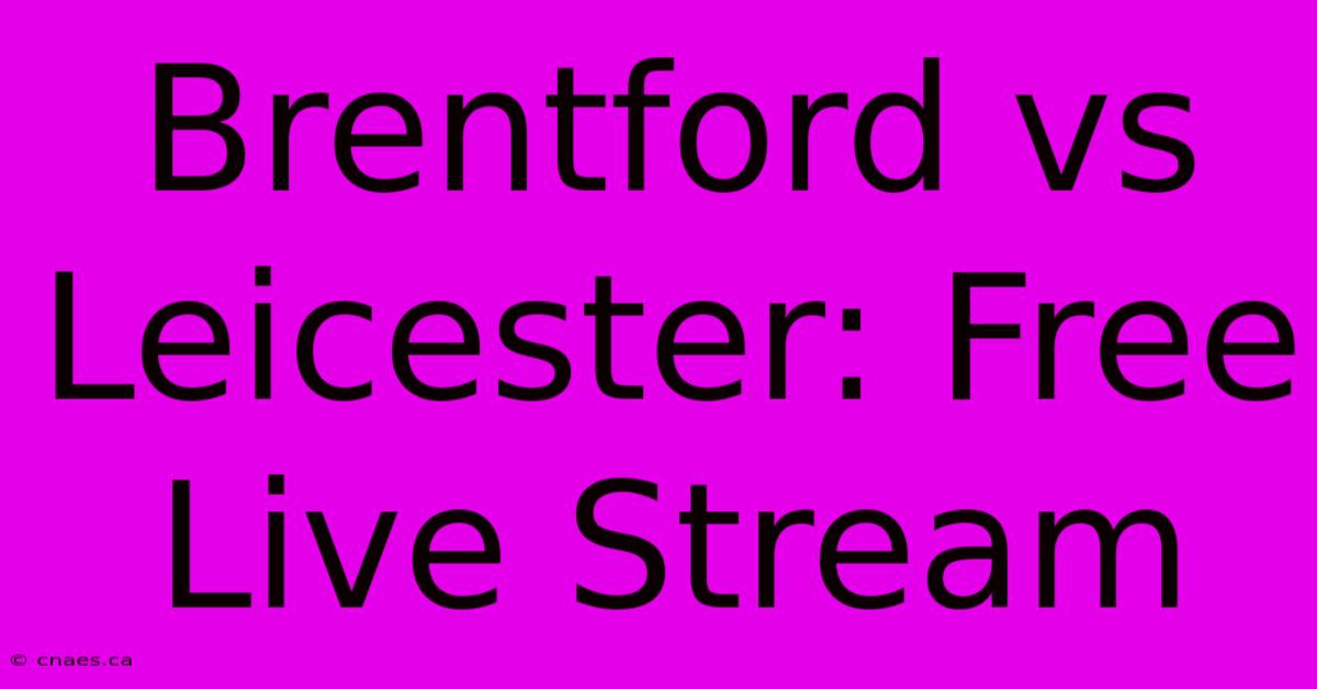 Brentford Vs Leicester: Free Live Stream