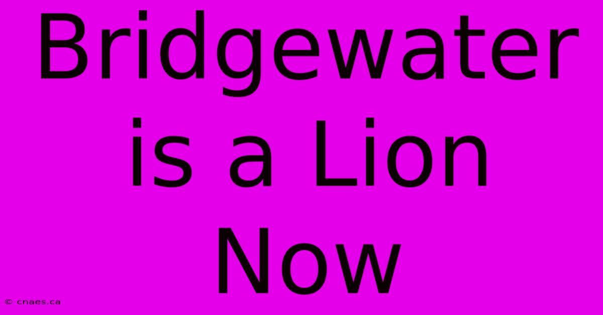 Bridgewater Is A Lion Now