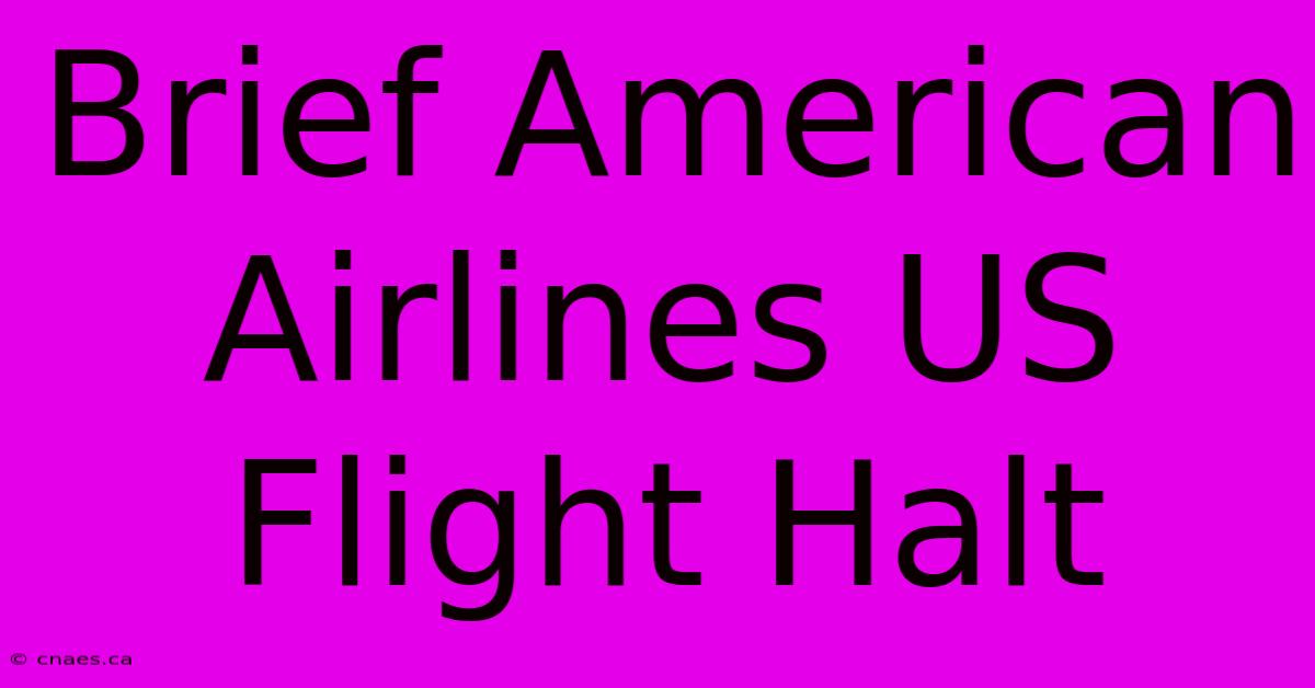 Brief American Airlines US Flight Halt