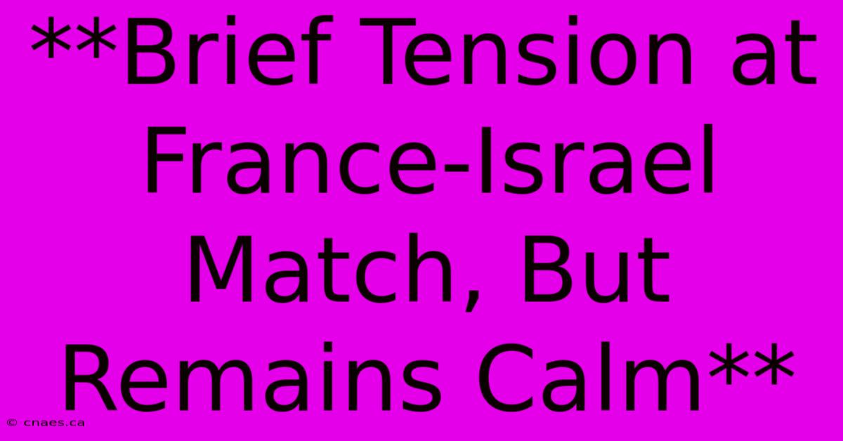 **Brief Tension At France-Israel Match, But Remains Calm**