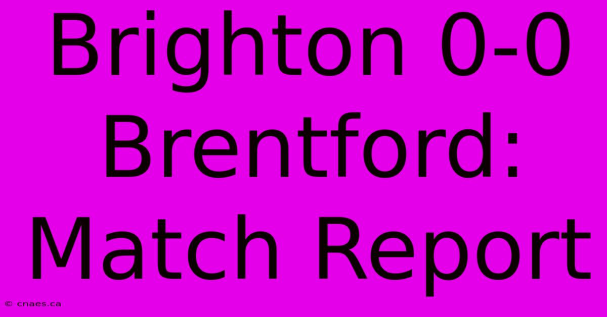 Brighton 0-0 Brentford: Match Report