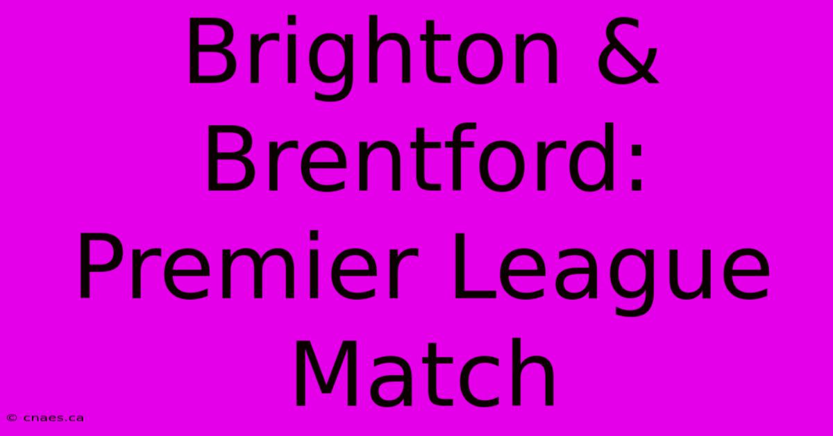 Brighton & Brentford: Premier League Match