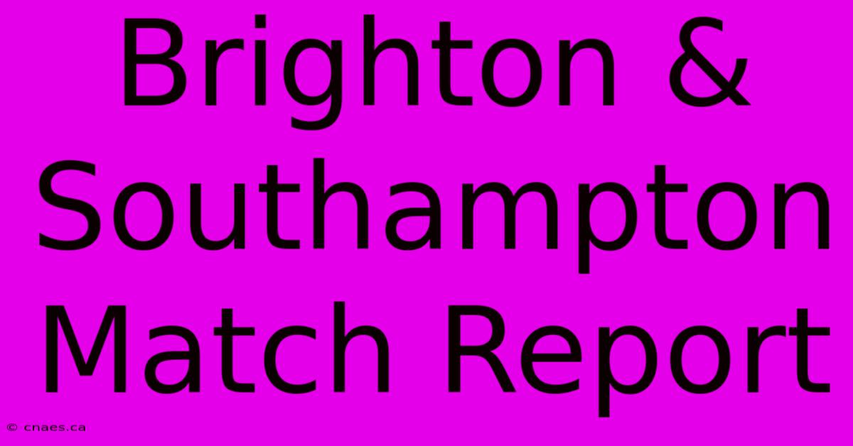 Brighton & Southampton Match Report