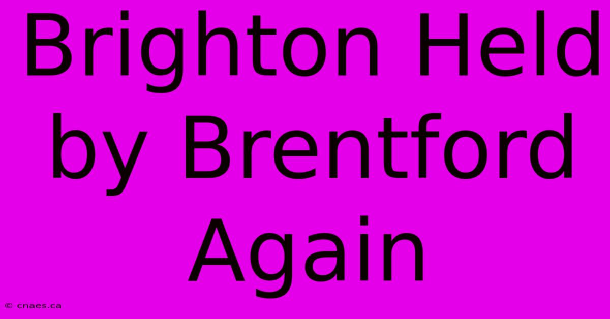 Brighton Held By Brentford Again