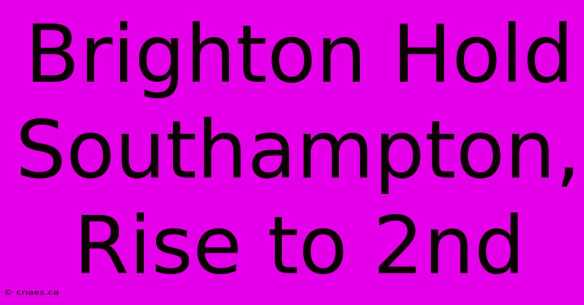 Brighton Hold Southampton, Rise To 2nd