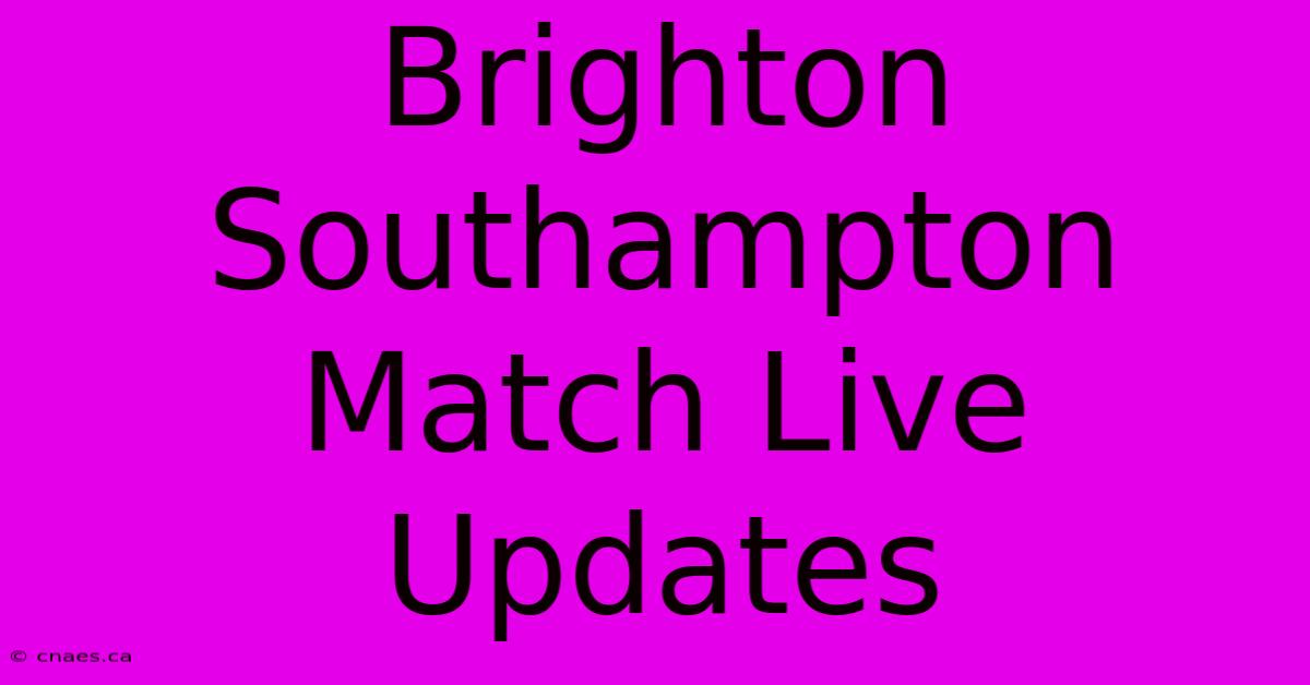 Brighton Southampton Match Live Updates