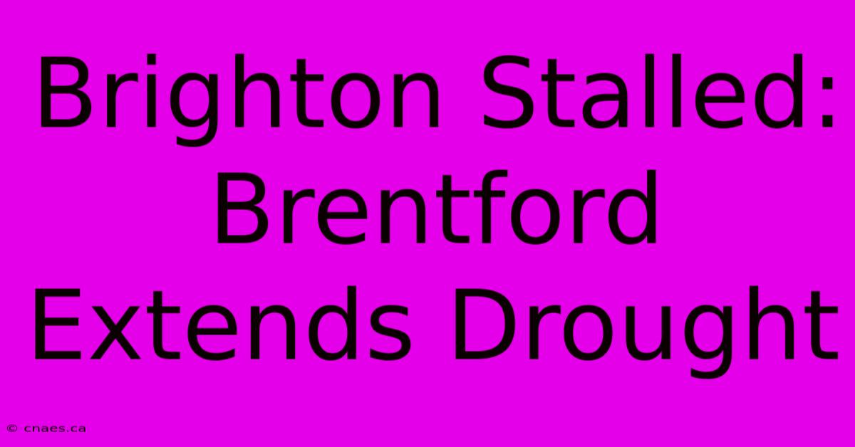 Brighton Stalled: Brentford Extends Drought