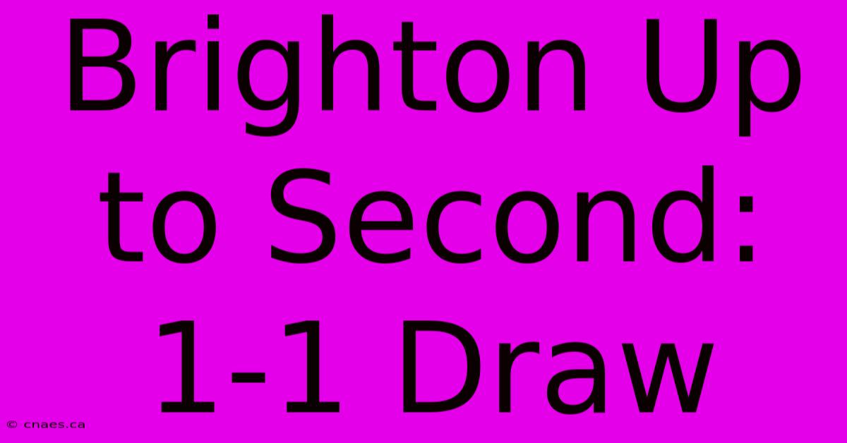 Brighton Up To Second: 1-1 Draw