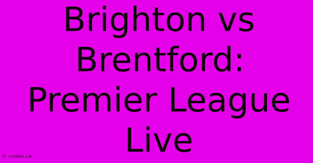 Brighton Vs Brentford: Premier League Live