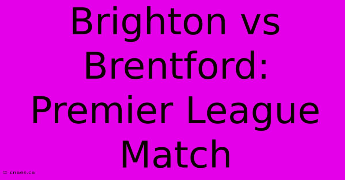 Brighton Vs Brentford: Premier League Match