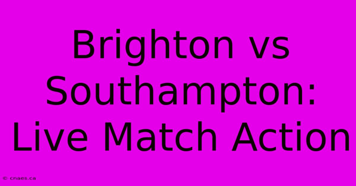 Brighton Vs Southampton: Live Match Action