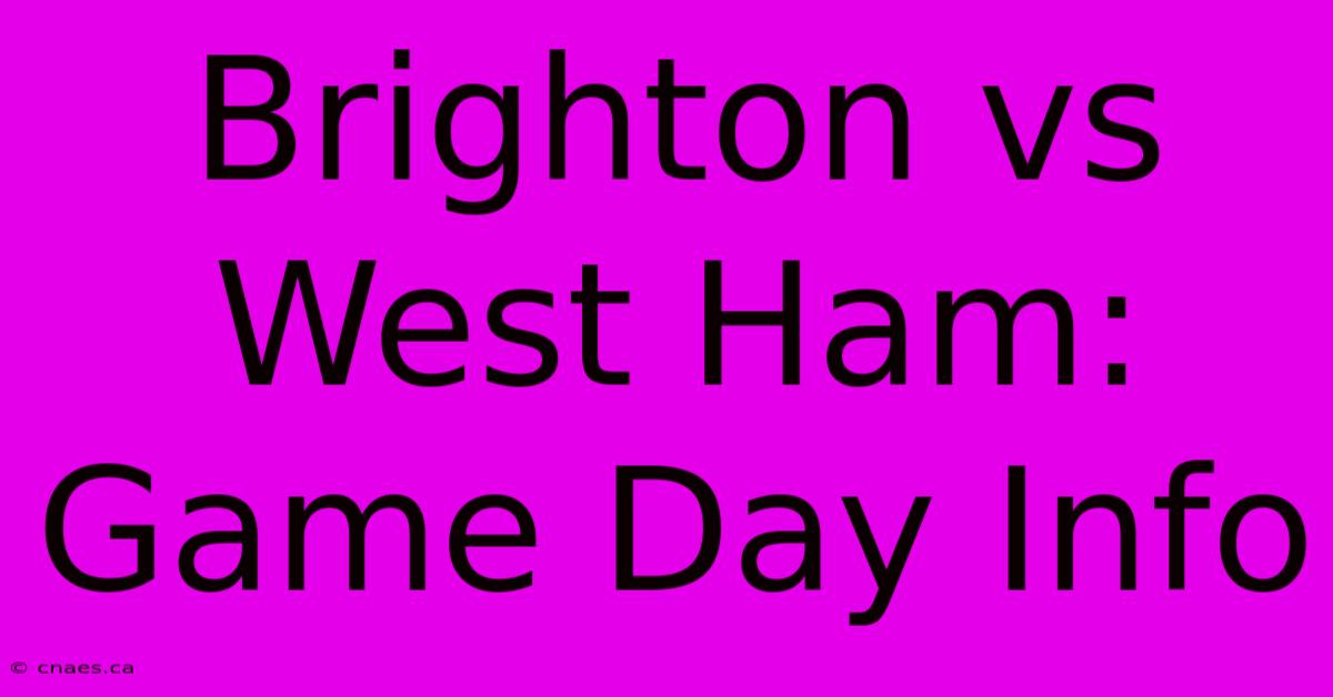 Brighton Vs West Ham: Game Day Info