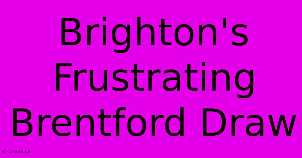 Brighton's Frustrating Brentford Draw