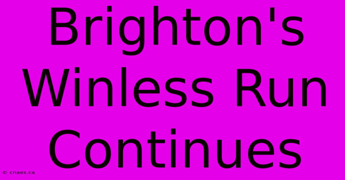 Brighton's Winless Run Continues