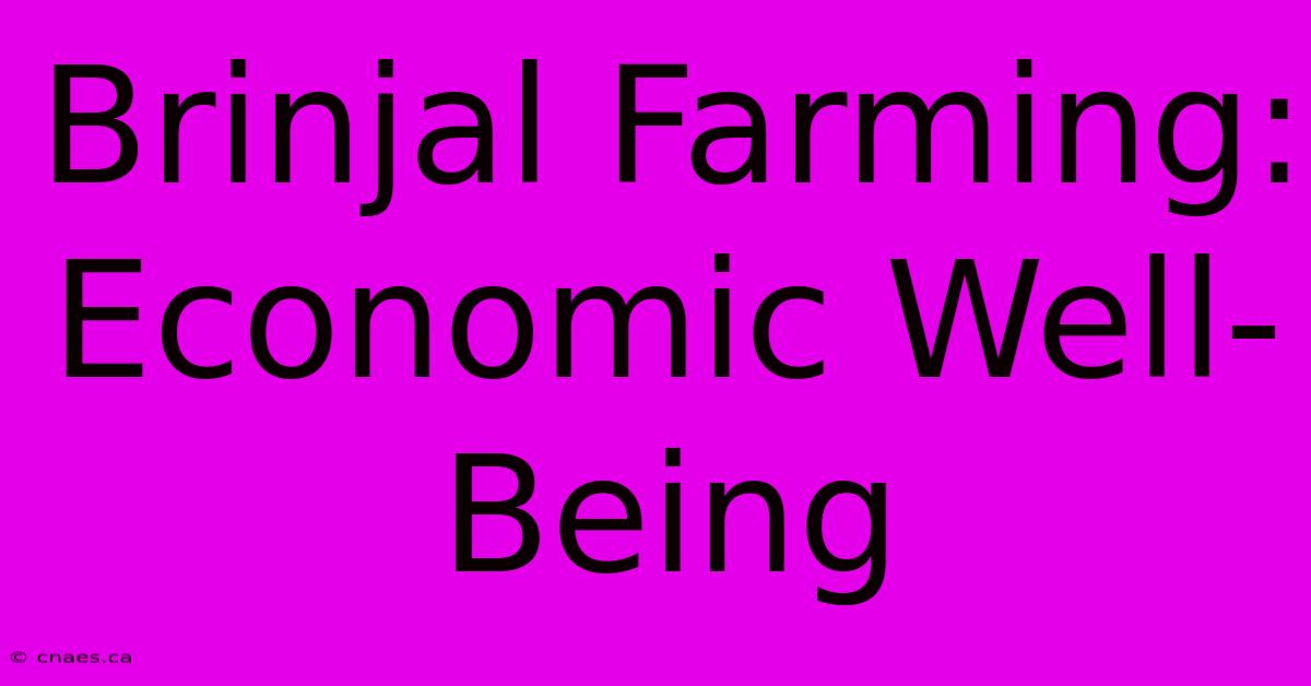 Brinjal Farming: Economic Well-Being