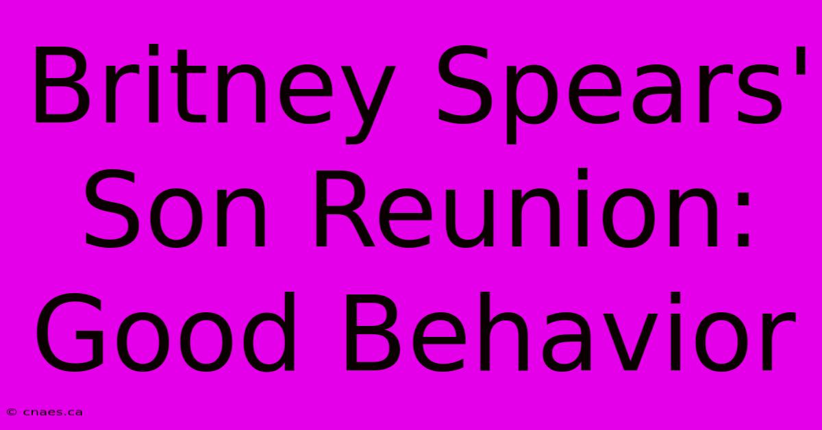 Britney Spears' Son Reunion: Good Behavior