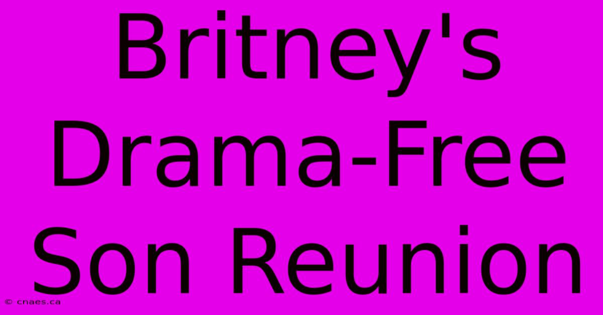 Britney's Drama-Free Son Reunion