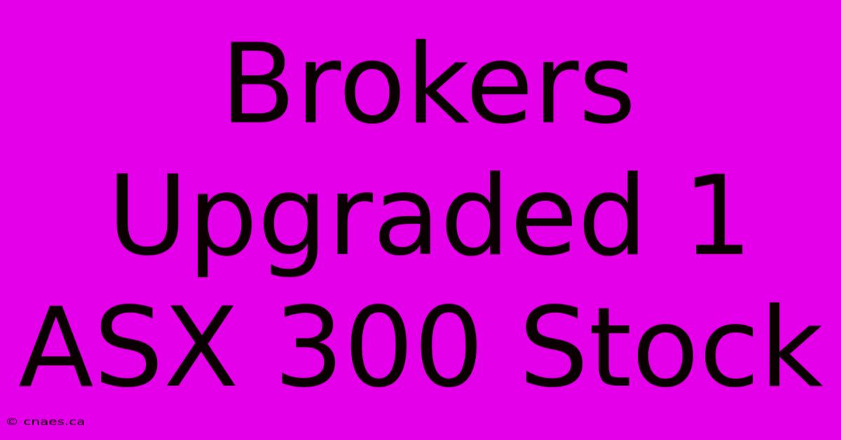 Brokers Upgraded 1 ASX 300 Stock