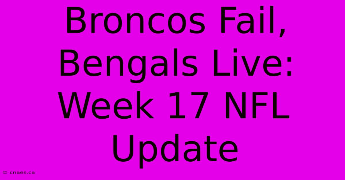 Broncos Fail, Bengals Live: Week 17 NFL Update