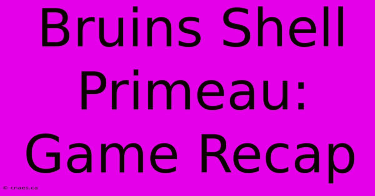 Bruins Shell Primeau: Game Recap