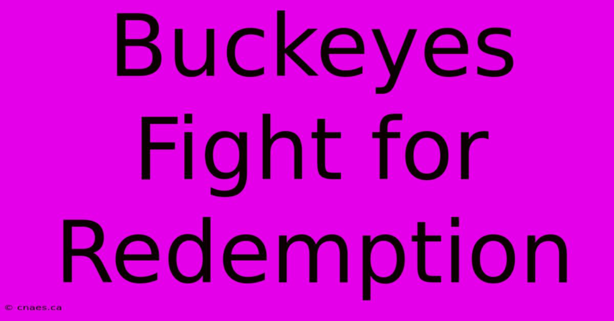 Buckeyes Fight For Redemption