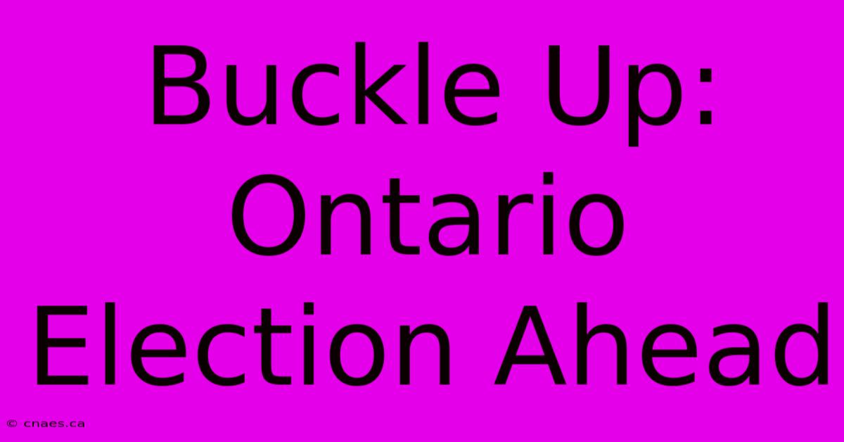 Buckle Up: Ontario Election Ahead