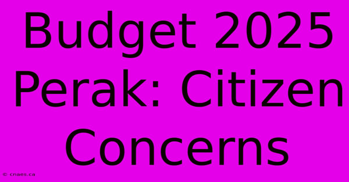 Budget 2025 Perak: Citizen Concerns