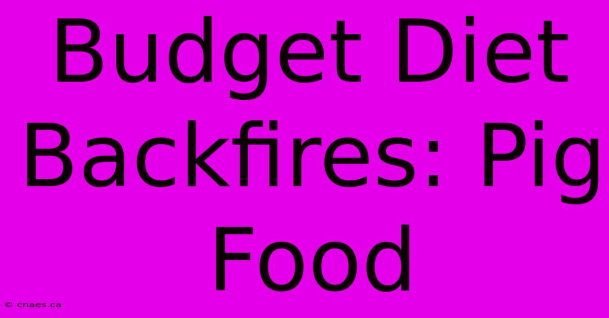 Budget Diet Backfires: Pig Food