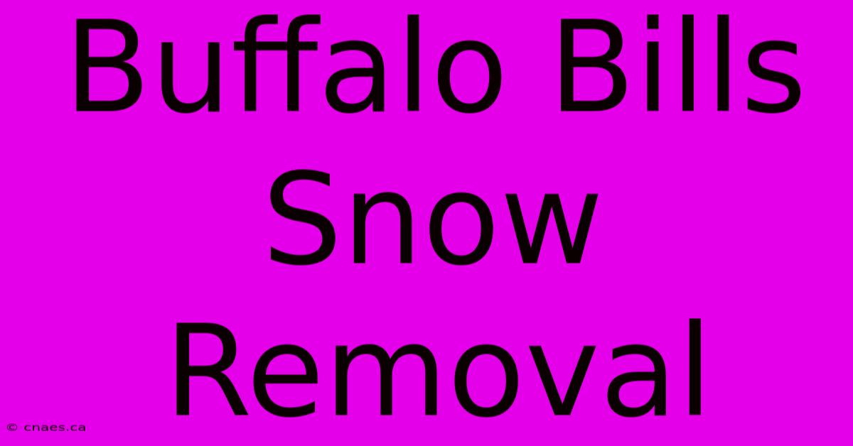 Buffalo Bills Snow Removal