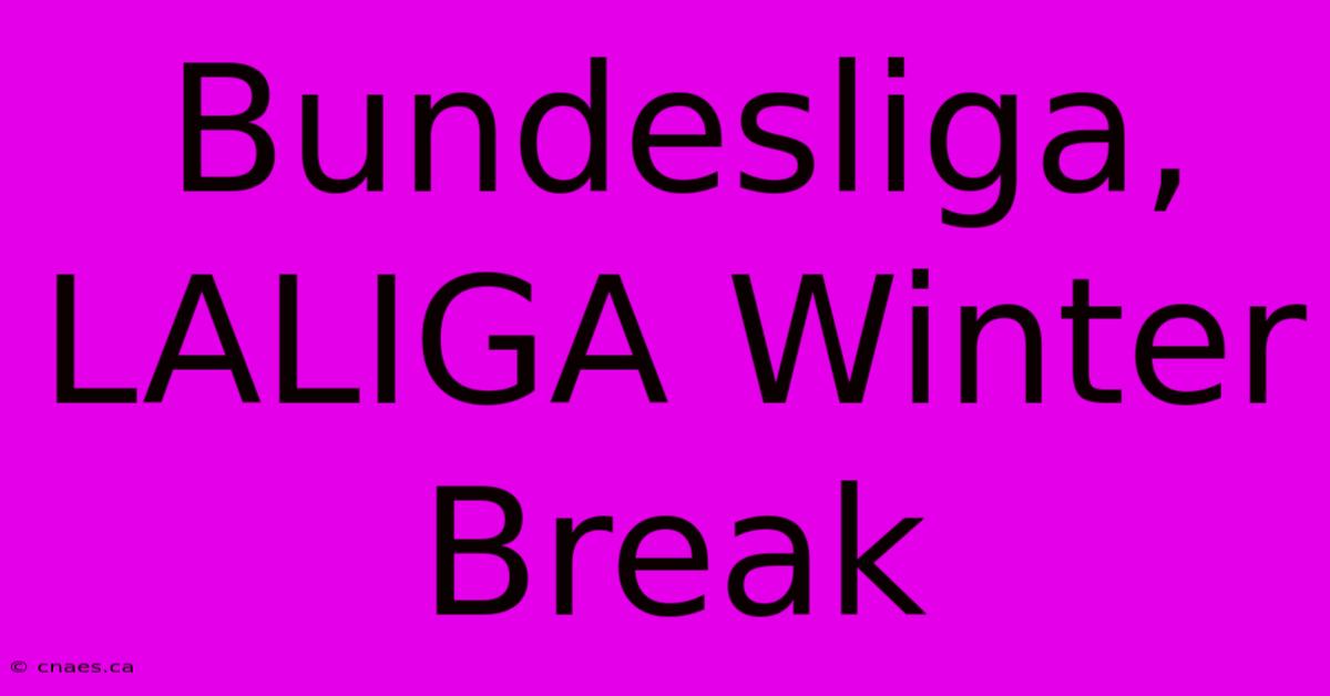 Bundesliga, LALIGA Winter Break