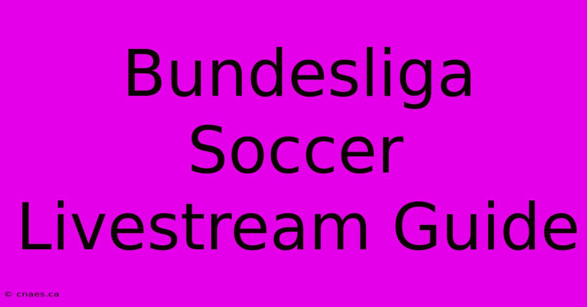 Bundesliga Soccer Livestream Guide