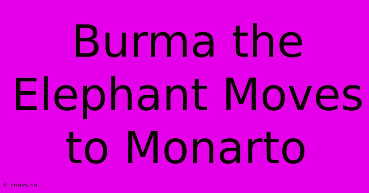 Burma The Elephant Moves To Monarto