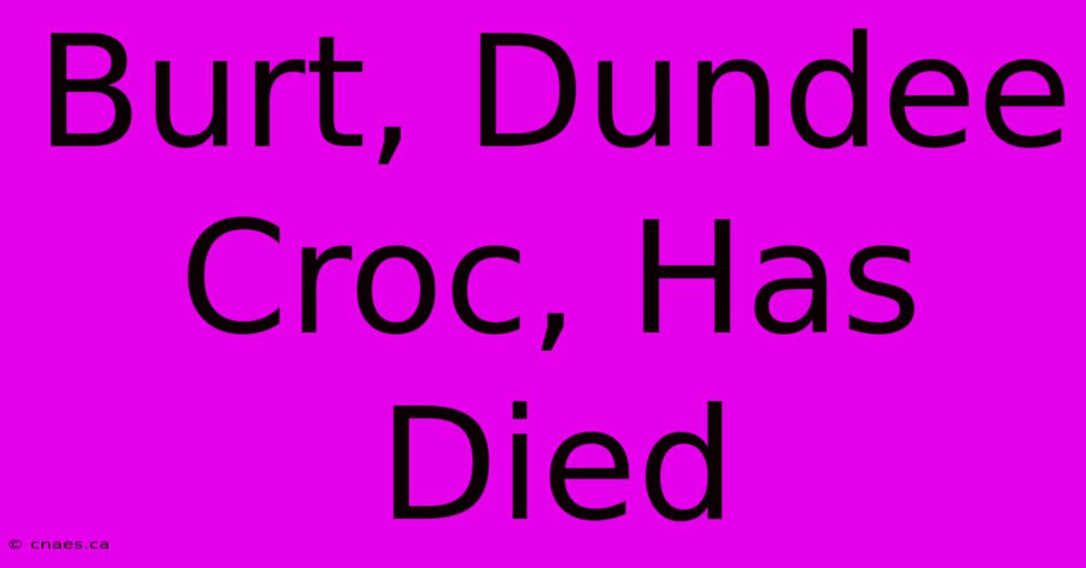 Burt, Dundee Croc, Has Died