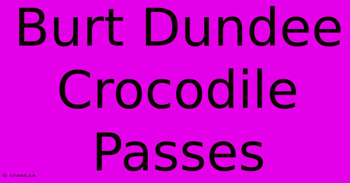 Burt Dundee Crocodile Passes