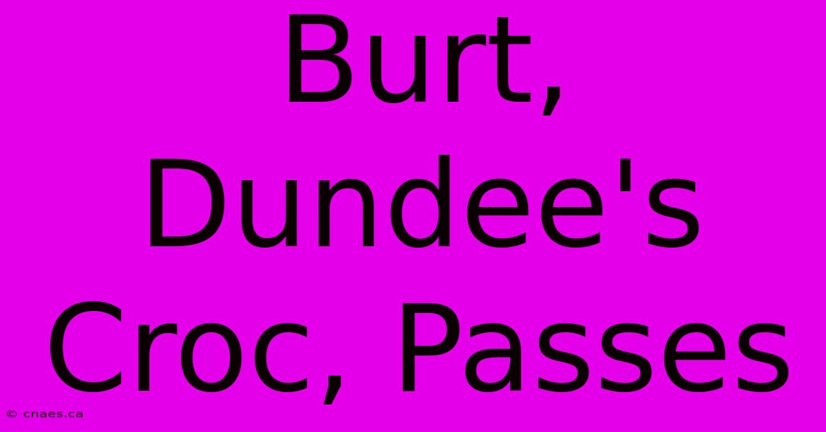 Burt, Dundee's Croc, Passes