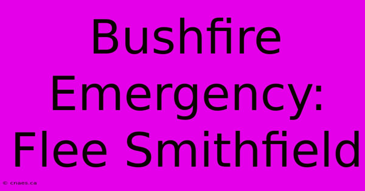 Bushfire Emergency: Flee Smithfield