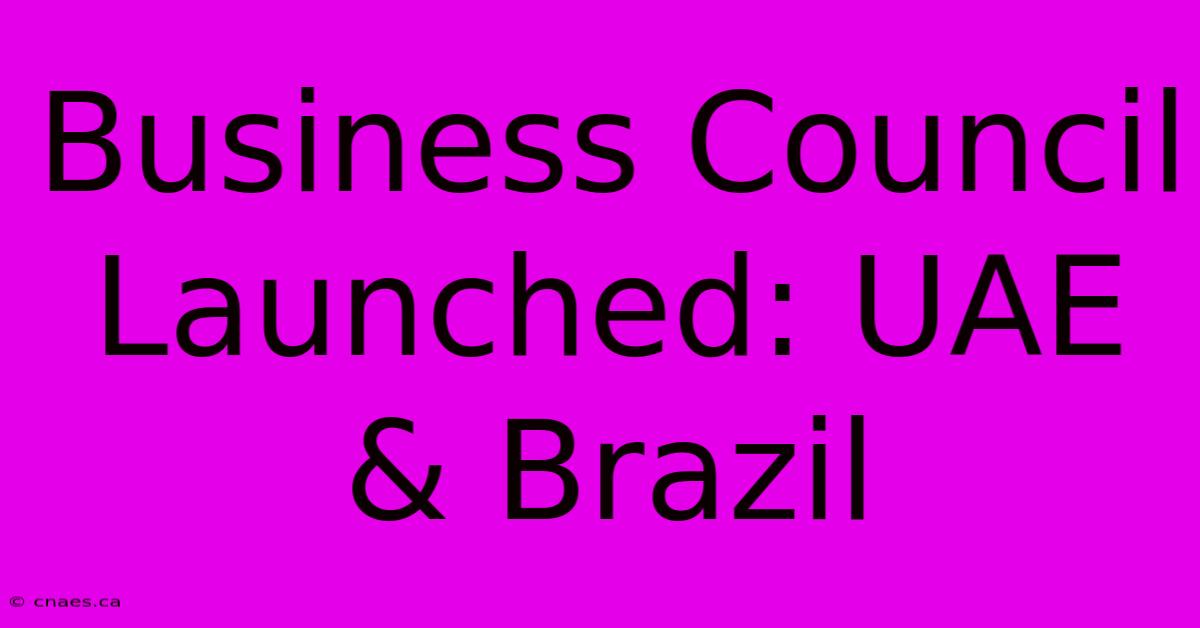 Business Council Launched: UAE & Brazil