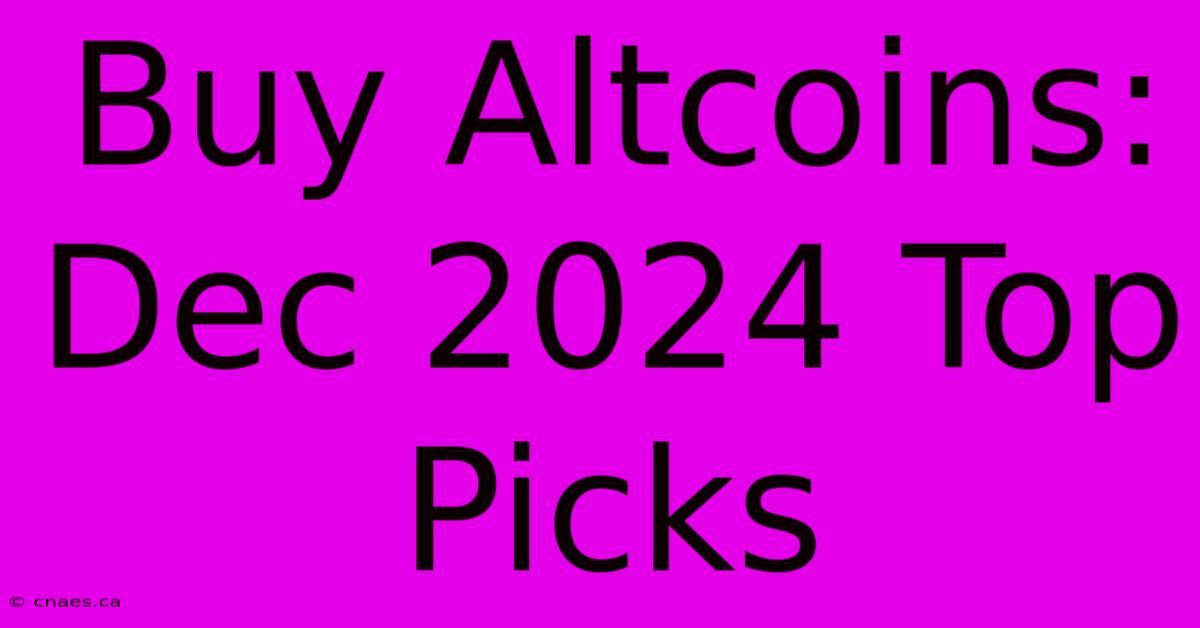 Buy Altcoins: Dec 2024 Top Picks