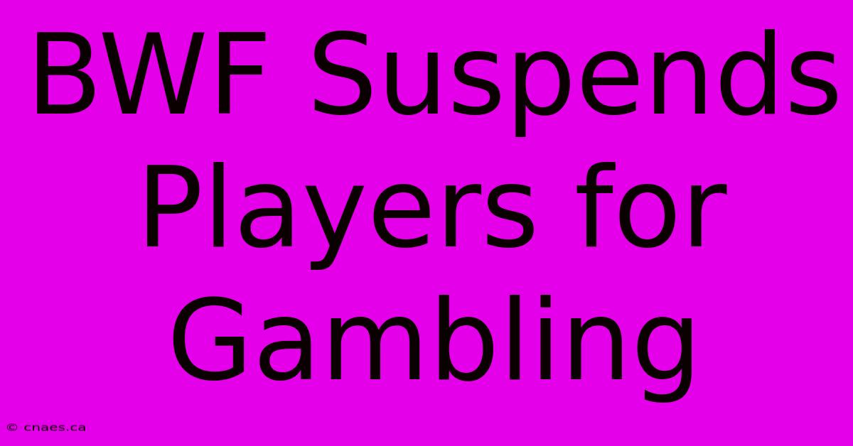 BWF Suspends Players For Gambling