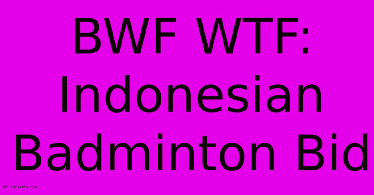 BWF WTF: Indonesian Badminton Bid