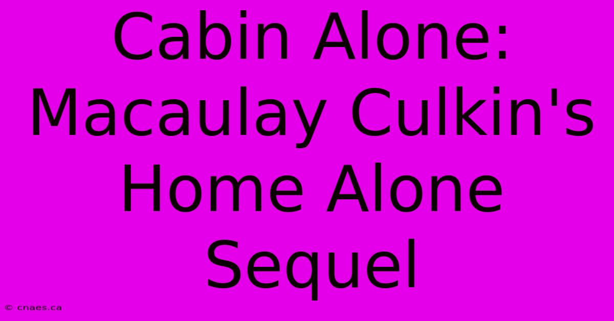 Cabin Alone: Macaulay Culkin's Home Alone Sequel