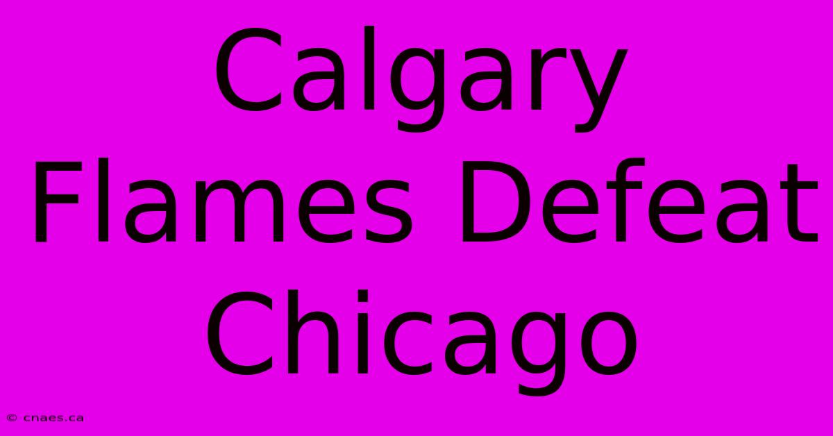 Calgary Flames Defeat Chicago