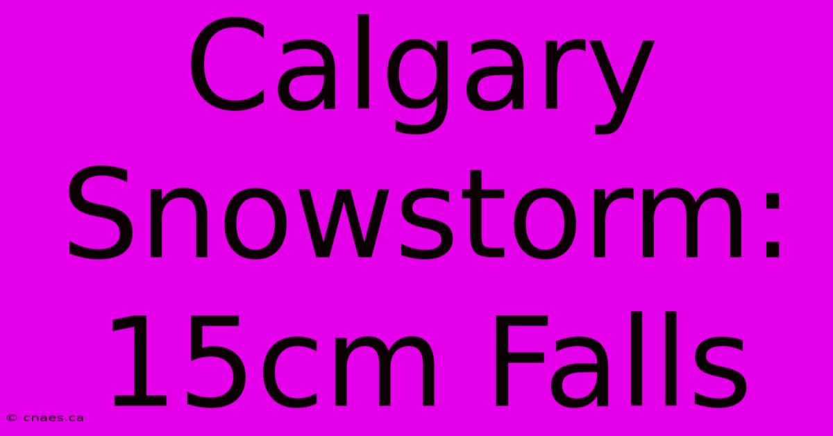 Calgary Snowstorm: 15cm Falls