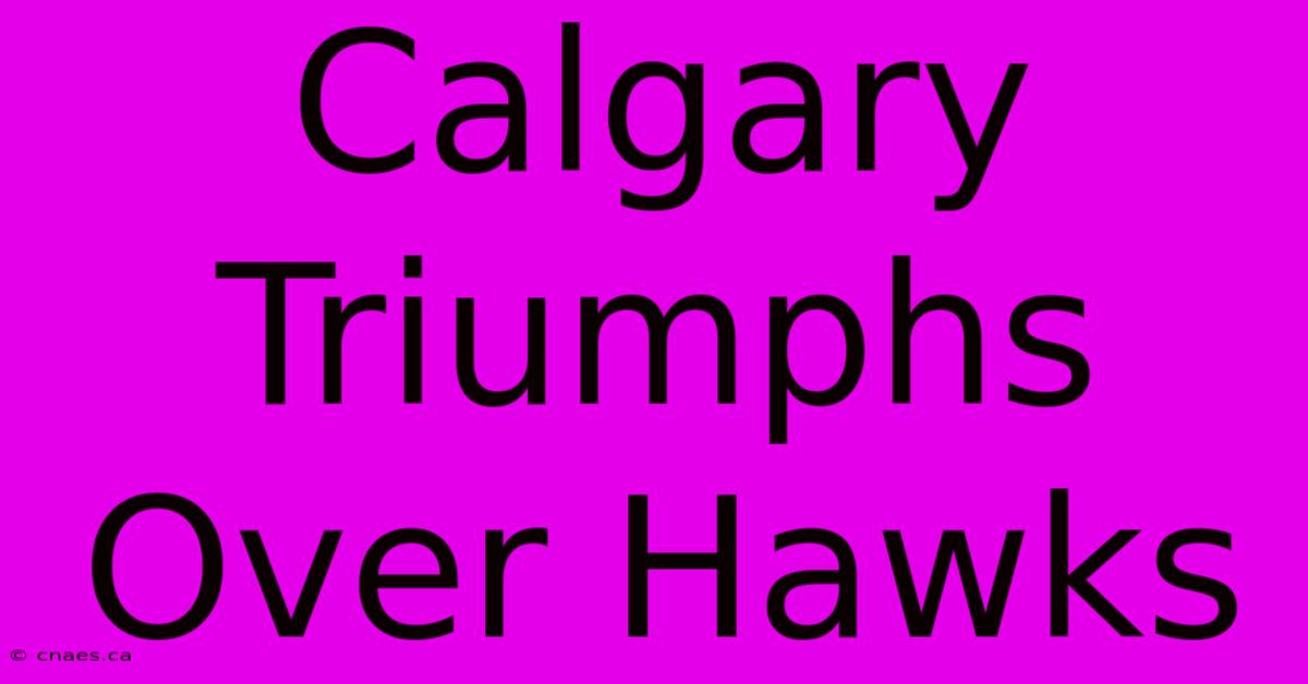 Calgary Triumphs Over Hawks