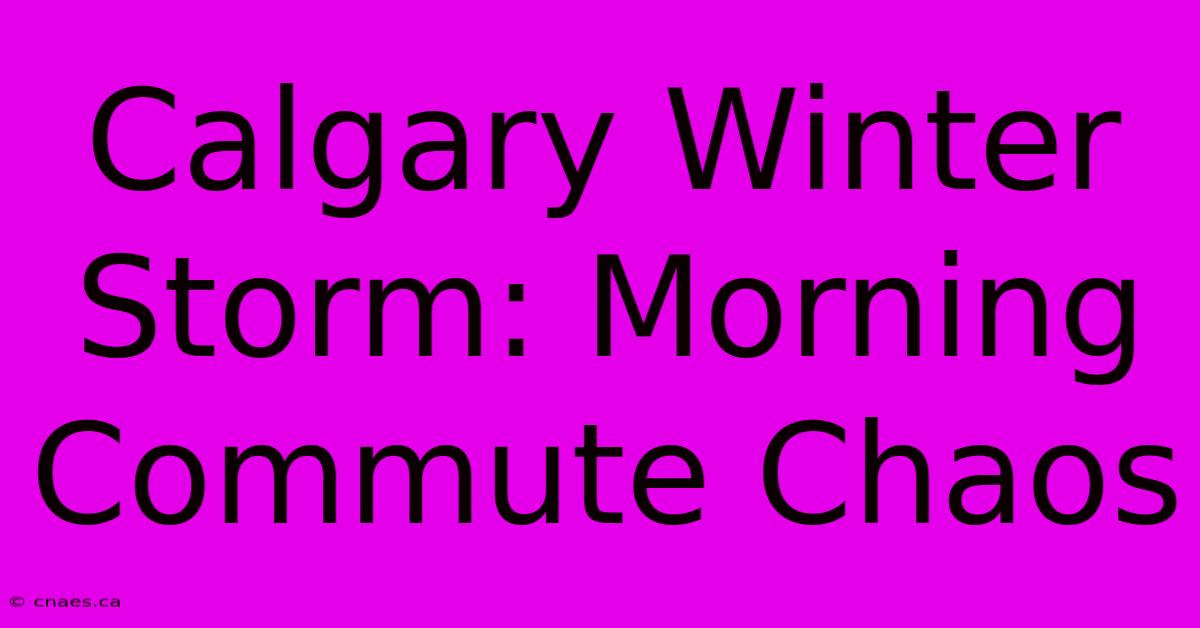 Calgary Winter Storm: Morning Commute Chaos