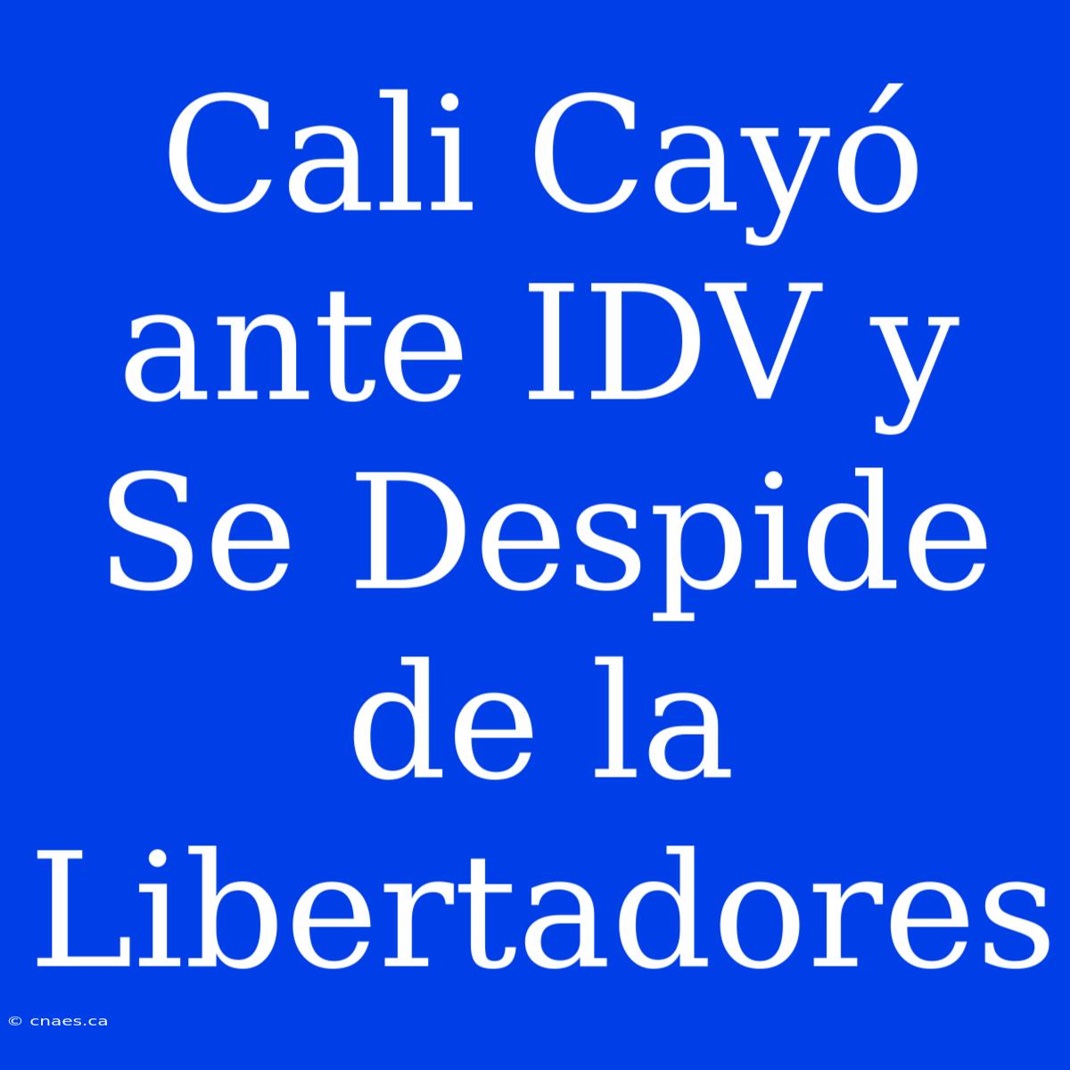 Cali Cayó Ante IDV Y Se Despide De La Libertadores