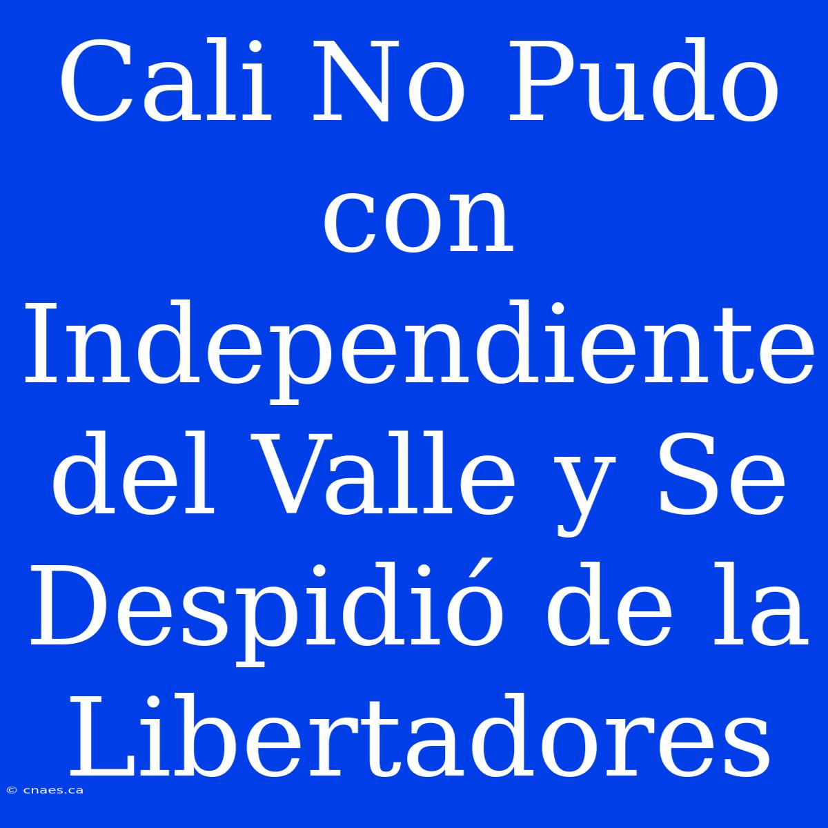 Cali No Pudo Con Independiente Del Valle Y Se Despidió De La Libertadores