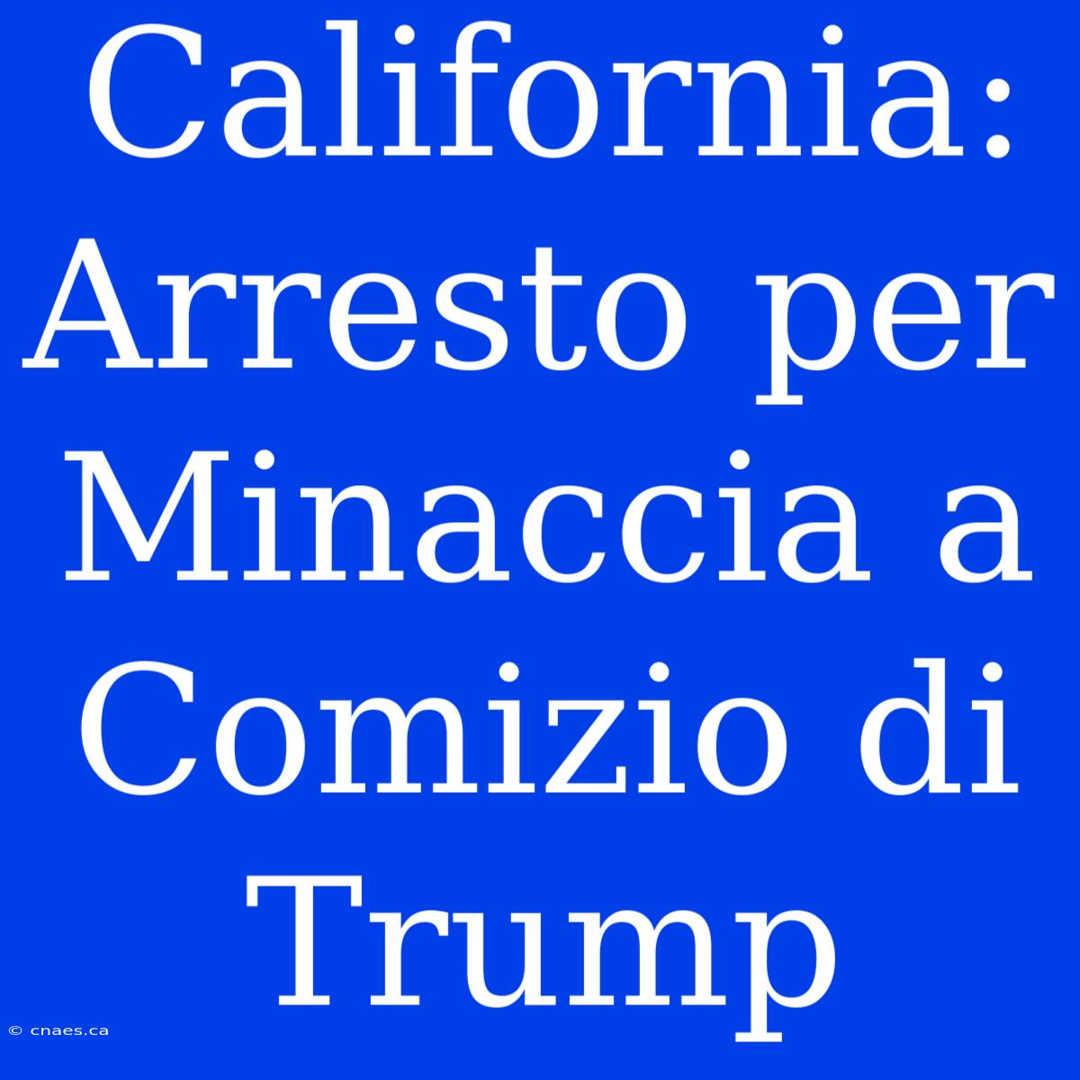 California: Arresto Per Minaccia A Comizio Di Trump