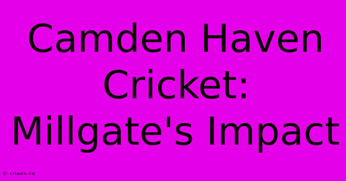 Camden Haven Cricket: Millgate's Impact