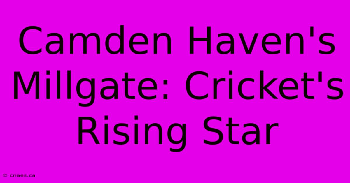 Camden Haven's Millgate: Cricket's Rising Star